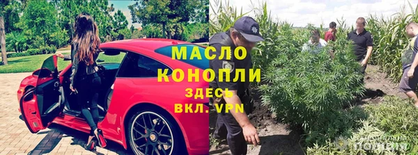 крисы Заводоуковск
