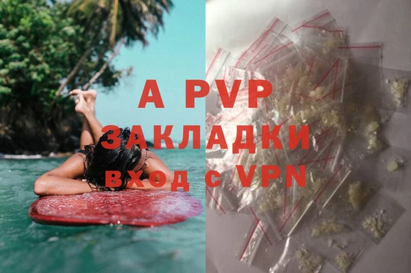 крисы Заводоуковск